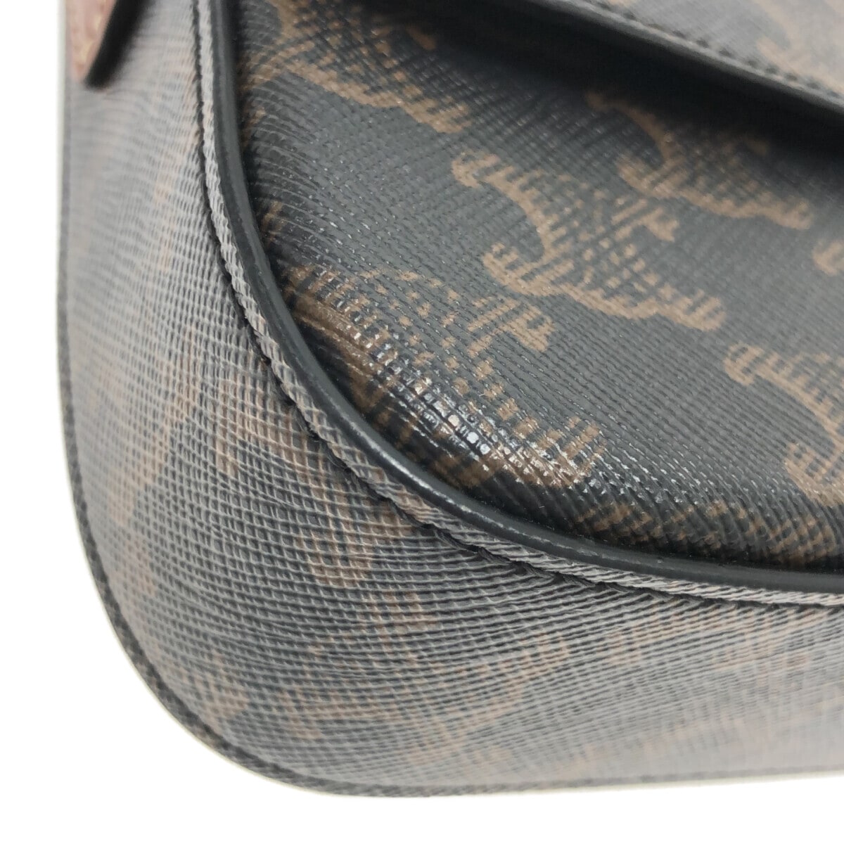 Triomphe Claude Bag
