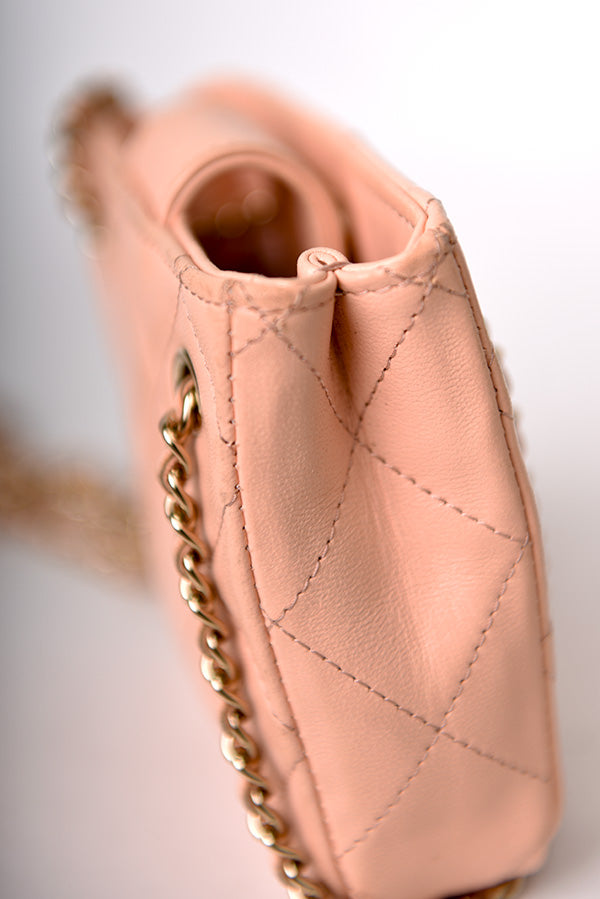 Tiny Shopping Clutch