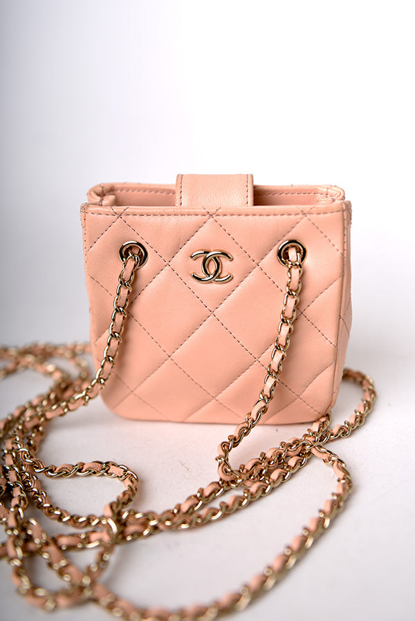 Tiny Shopping Clutch