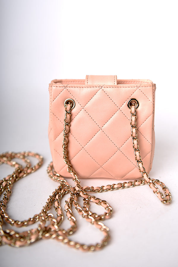Tiny Shopping Clutch