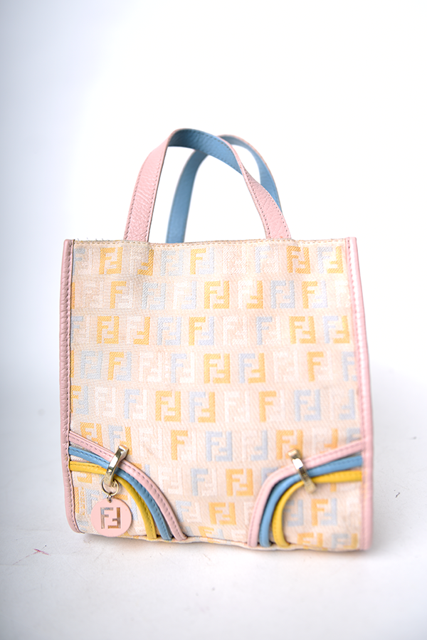 Mini Leather-Trimmed Zucchino Tote