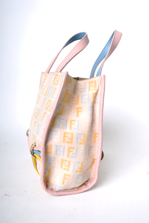 Mini Leather-Trimmed Zucchino Tote