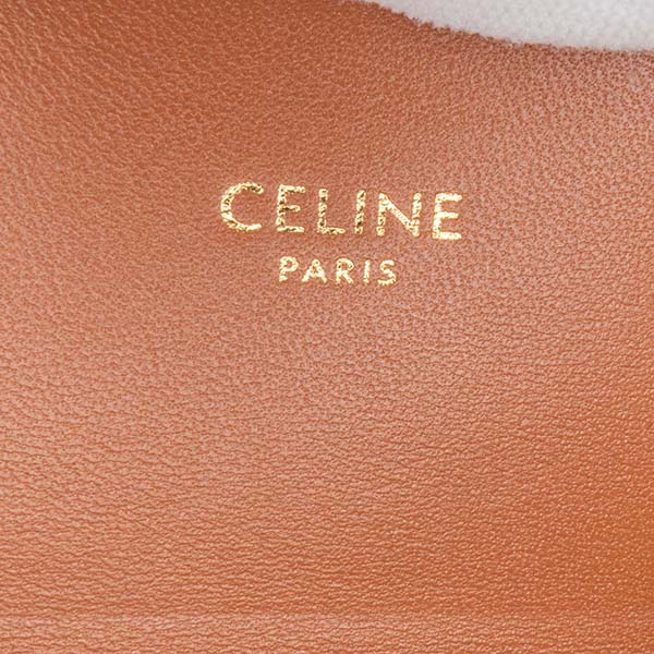 Triomphe Coated Canvas Claude Shoulder Bag