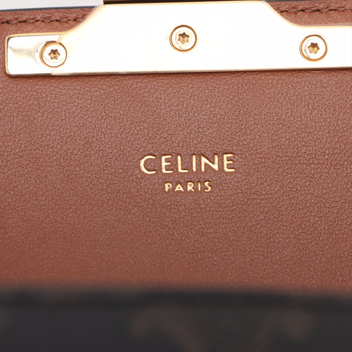 Canvas Triomphe Shoulder Bag Tan