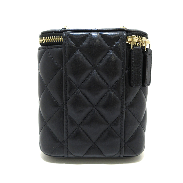 Vertical Coco Beauty Vanity Case